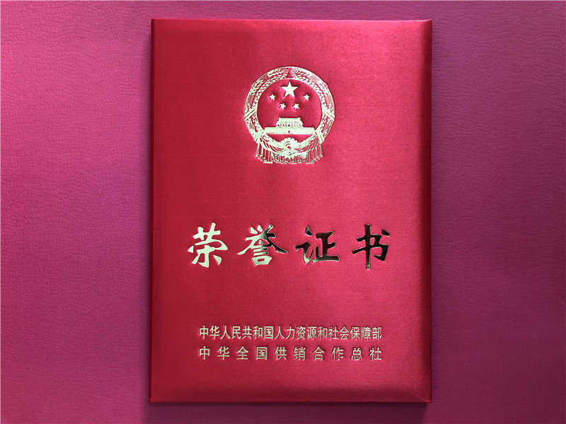 喜讯！乐动（中国）连获三项殊荣