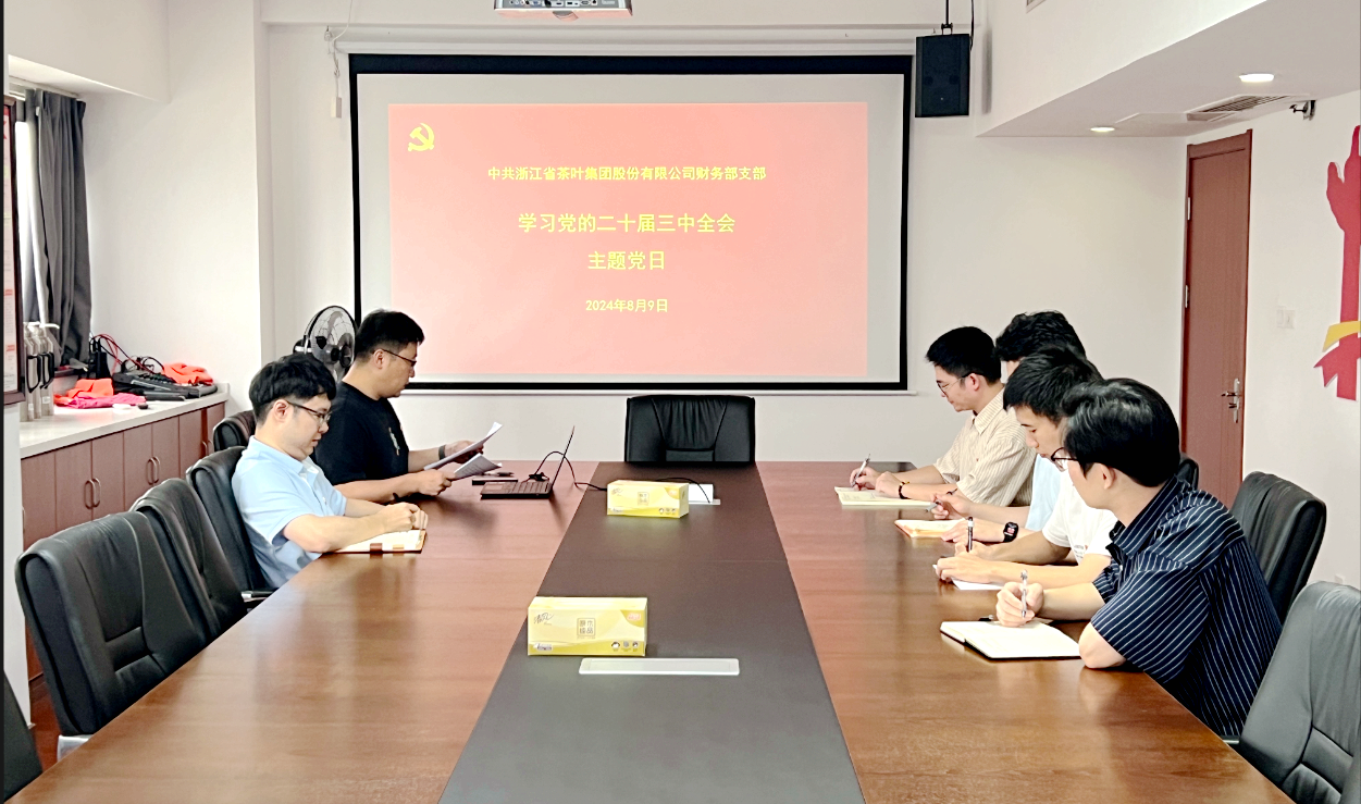 乐动（中国）财务部党支部开展学习党的二十届三中全会精神主题党日活动